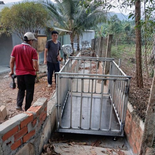 CÂN ĐIỆN TỬ