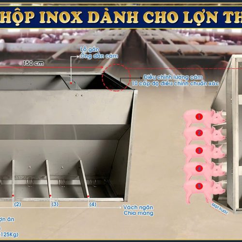 MÁNG ĂN CHO HEO THỊT