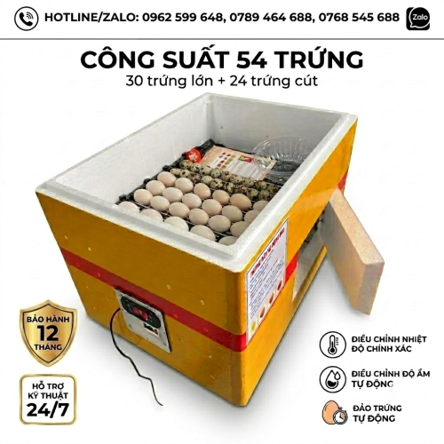 MÁY ẤP TRỨNG (54 TRỨNG)